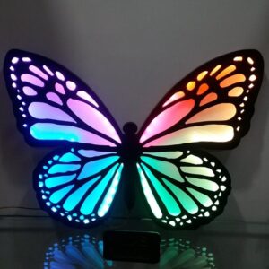 Beautiful Butterfly with Rainbow Color Light Effect